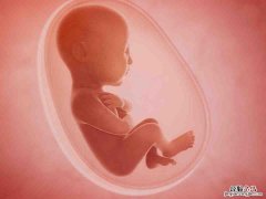 孕囊看男女判断方法图片 孕囊看男女判断方法