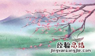 带有花字的诗句 带有花字的经典诗句