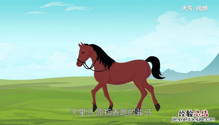 千里马指什么样的人 千里马指什么样的人关于这样的词语还有哪些