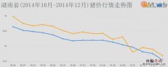 湖南省教育考试院官网 湖南省