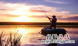 温度低于多少度不能钓鱼 鱼是什么动物