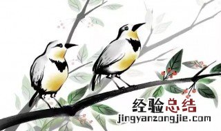 含鸟的诗句 含鸟的诗句有哪些