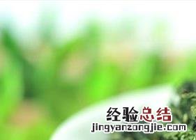 乌龙茶有哪些功效和禁忌 乌龙茶有哪些功效