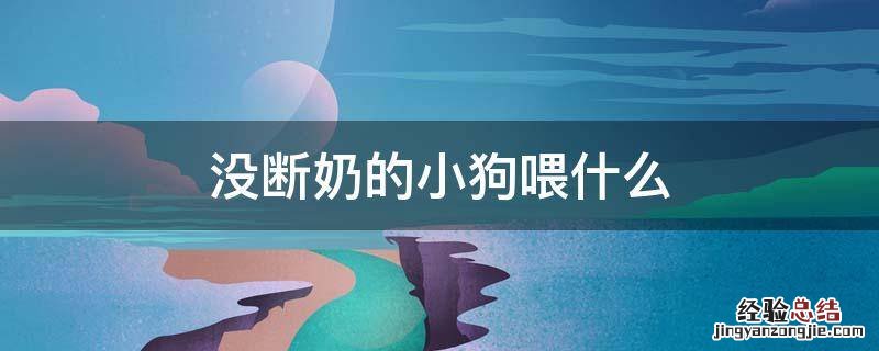 没断奶的小狗喂什么 没断奶的小狗喂什么奶