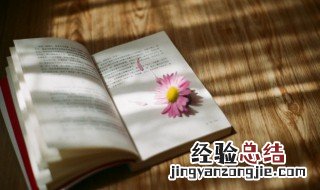 红岩好句 红岩好句有哪些