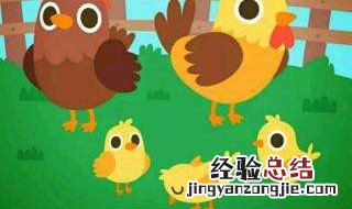 母鸡和小鸡在吃虫子拟人写法 母鸡和小鸡在吃虫子改成拟人句