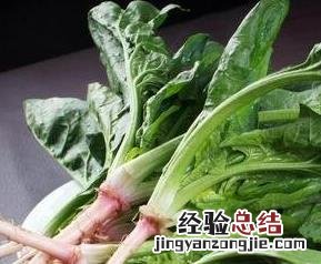水煮菠菜不能和什么一起吃 菠菜不能和什么一起吃