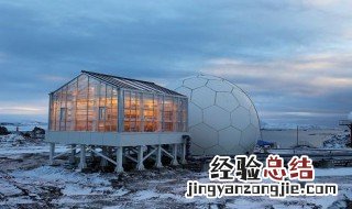 南极温室为什么主要生产青菜? 在南极种菜