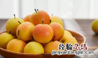 南果梨产地 南果梨产地分果的加大了人工