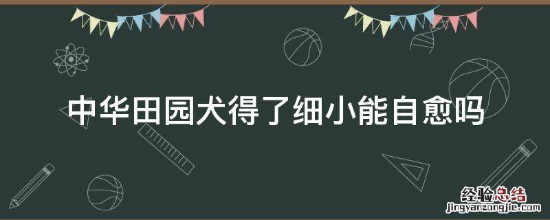 中华田园犬得了细小能自愈吗 幼犬得了细小不治疗会自己好吗