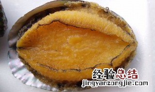 鲍鱼怎么做简单又营养视频 鲍鱼怎么做简单又营养