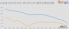山东省教育招生考试院 山东省