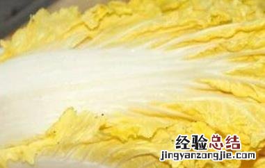 黄心菜的功效与作用 黄心菜的功效与作用是什么