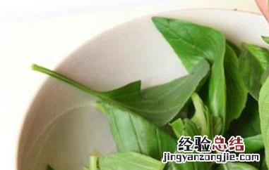 九层塔的功效与作用 九层塔的功效与作用及禁忌