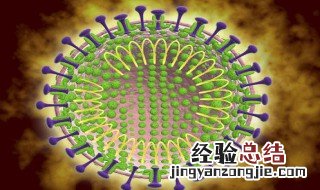石河子发现首类新型冠状病毒的时间是什么时候 进来了解了解