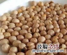黄豆能爆米花吗 黄豆爆米花的功效与作用