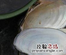 河蚌壳的药用价值 河蚌壳的药用价值是什么