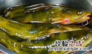 蒸黄辣丁的做法 如何蒸黄辣丁