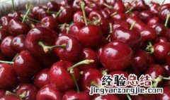 车厘子的营养价值 车厘子的营养价值高吗