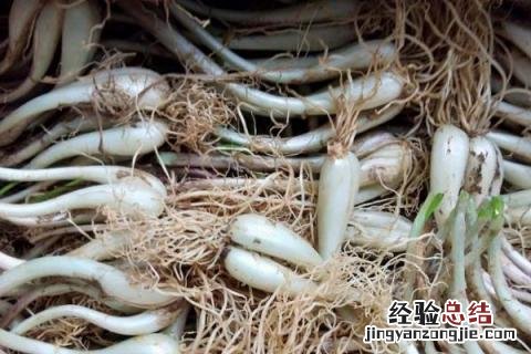 贵州种植业的主要经济作物 贵州适合种植什么经济作物