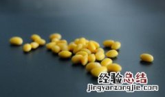 黄豆热量 黄豆的热量高吗