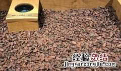 可可豆怎么吃比较好 可可豆怎么吃