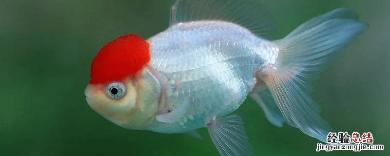 过水服务是什么意思 过水服务是指的是什么意思