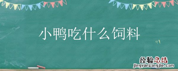 小鸭子吃饲料好还是吃菜好 小鸭吃什么饲料