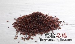 盐车前子的功效与作用图片 盐车前子的功效与作用