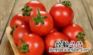 茄汁番茄 茄汁番茄面