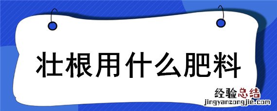 壮根茎用什么肥 壮根用什么肥料