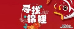 女生求锦鲤微信状态是什么意思 求锦鲤微信状态是什么意思