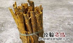 松树皮的功效与作用 黄柏树皮的作用与功效