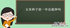 玉米种子明年还可以种吗 玉米种子放一年还能种吗