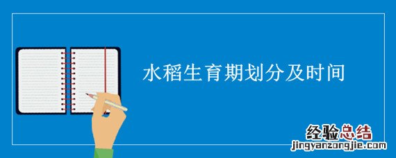 水稻生育期划分及时间 水稻生育期的划分