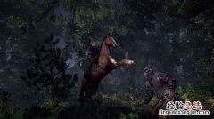 巫师3狂猎看剧情就好 《巫师3：狂猎》完美结局达成心得