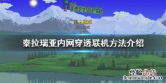 泰拉瑞亚如何联机 泰拉瑞亚多人联机ip从哪里找