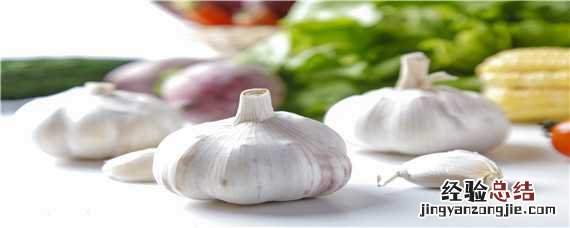 大蒜管理技术要点 大蒜的管理方法
