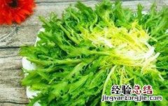 苦菊怎么做好吃又简单 苦菊怎么做好吃