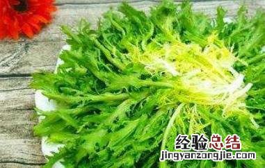 苦菊怎么做好吃又简单 苦菊怎么做好吃