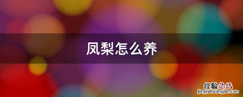 凤梨怎么养殖方法 凤梨怎么养