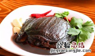 甲鱼适合什么人群吃 甲鱼适合的人群