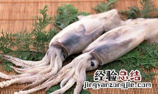 章鱼与墨鱼的营养价值 墨鱼的营养价值