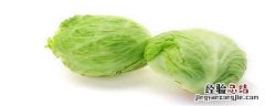 包菜要种几个月可以收 包菜要种几个月可以收成