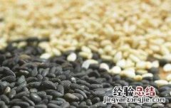 白芝麻和黑芝麻的区别是什么 白芝麻和黑芝麻的区别
