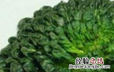 塔菜能生吃吗 乌塔菜可以生吃吗