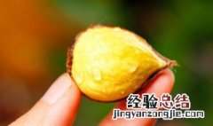 栗子粥怎么做 栗子粥怎么做视频