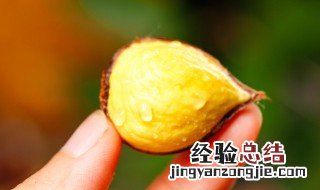 栗子粥怎么做 栗子粥怎么做视频