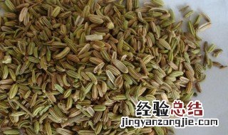 茴香与孜然是一种东西吗 孜然和小茴香是一种东西吗