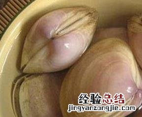 海蚌壳的功效与作用? 海蚌壳的药用价值